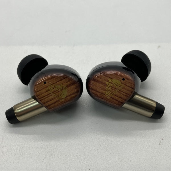Victor 【中古】WOOD master HA-FW5000T-T サンバーストブラウン