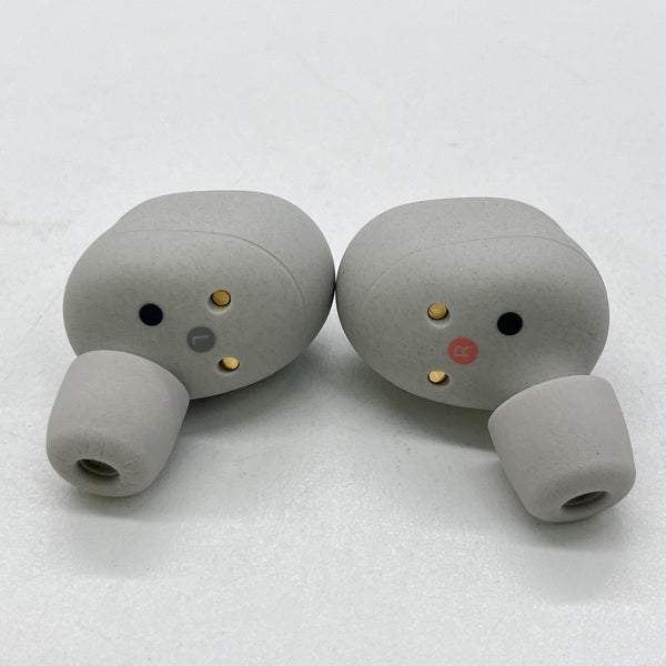 SONY 【中古】WF-1000XM6 SZ プラチナシルバー【秋葉原】 – e☆イヤホン