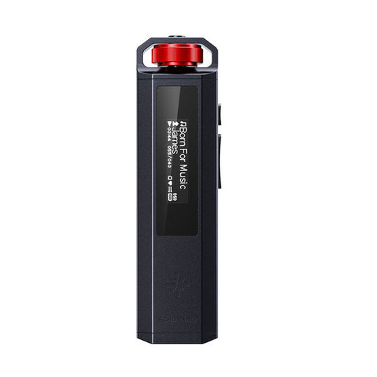 FIIO Snowsky ECHO NANO