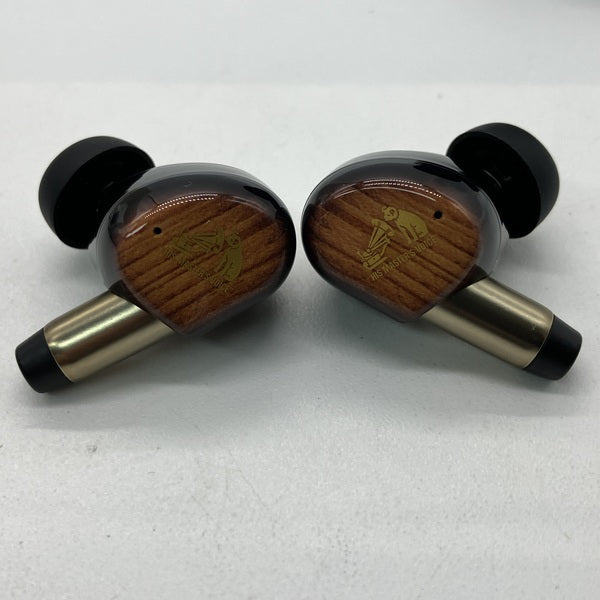 Victor 【中古】WOOD master HA-FW5000T-T サンバーストブラウン