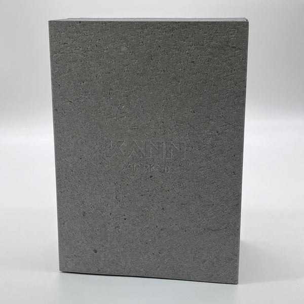 (最終値下) Astell&Kern KANN　アストロシルバー（中古美品） Astell&Kern 【中古】KANN Astro Silver 【AK-KANN-64GB-SLV】【秋葉原