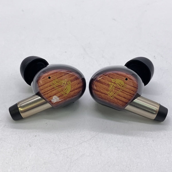 Victor 【中古】WOOD master HA-FW5000T-T サンバーストブラウン