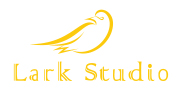 Lark Studio