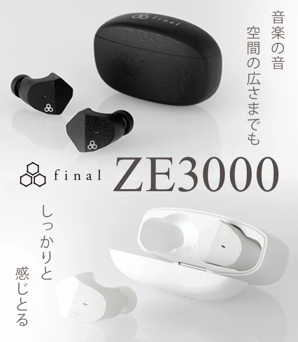final_ze3000