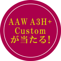 AAW A3H+ Custom が当たる！