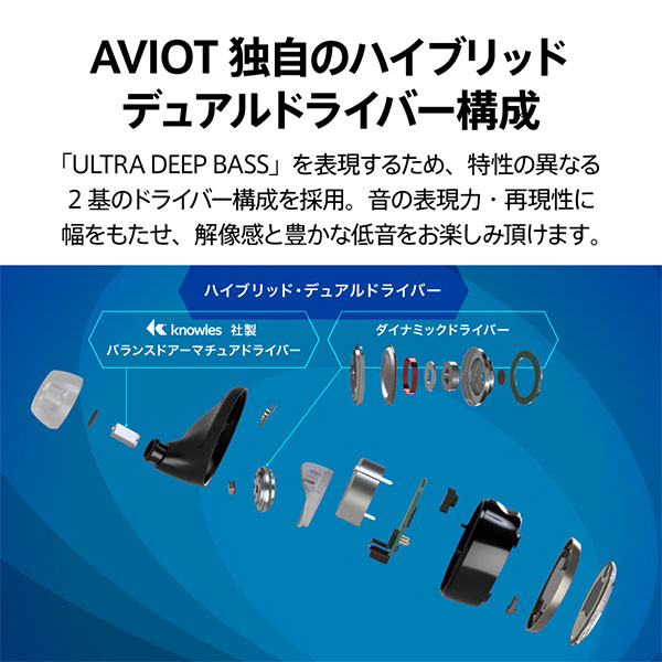 AVIOT アビオット TE-BD11tR ディープブラック / e☆イヤホン